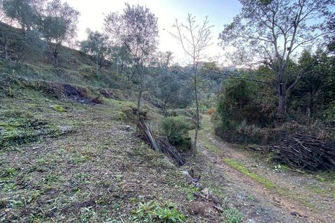 Helårsgrund i Albenga, Savona, Albenga - € 60.000 | Ref: 856 - foto 39