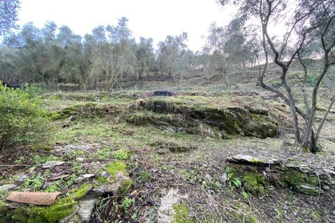 Helårsgrund i Albenga, Savona, Albenga - € 60.000 | Ref: 856 - foto 41