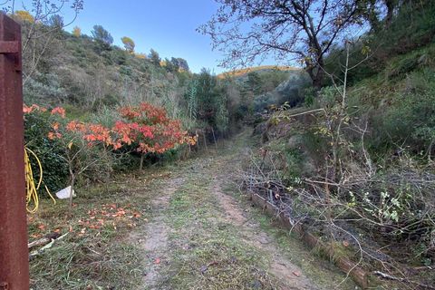 Helårsgrund i Albenga, Savona, Albenga - € 60.000 | Ref: 856 - foto 42
