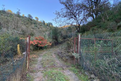 Helårsgrund i Albenga, Savona, Albenga - € 60.000 | Ref: 856 - foto 43