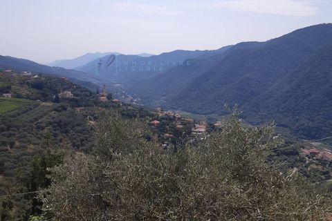 Landejendom i Ranzo, Imperia, Ranzo - € 69.000 | Ref: 858 - foto 18