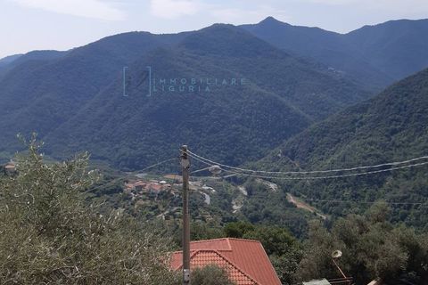 Landejendom i Ranzo, Imperia, Ranzo - € 69.000 | Ref: 858 - foto 19