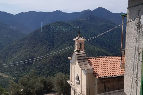 Landejendom i Ranzo, Imperia, Ranzo - € 69.000 | Ref: 858 - foto 20