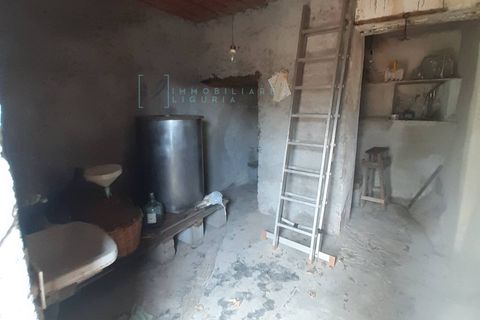 Landejendom i Ranzo, Imperia, Ranzo - € 69.000 | Ref: 858 - foto 32