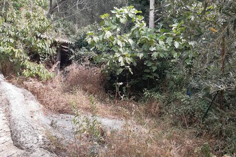 Landejendom i Ranzo, Imperia, Ranzo - € 69.000 | Ref: 858 - foto 36