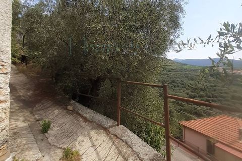 Landejendom i Ranzo, Imperia, Ranzo - € 69.000 | Ref: 858 - foto 37