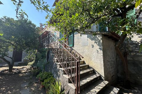 Landejendom i Albenga, Savona, Albenga - € 398.000 | Ref: 869 - foto 5