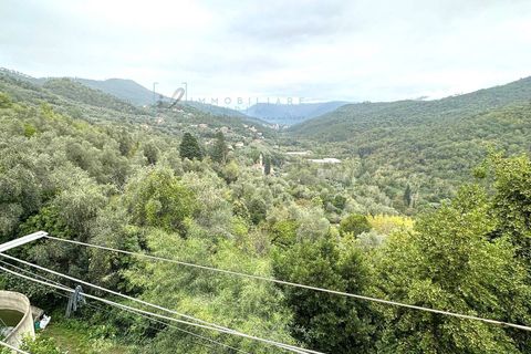 Landejendom i Casanova Lerrone, Savona, Casanova Lerrone - € 55.000 | Ref: 880 - foto 23
