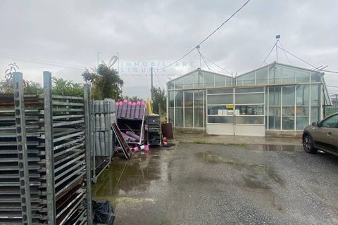 Helårsgrund i Albenga, Savona, Albenga - € 150.000 | Ref: 888 - foto 4