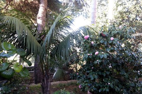 Villa i Bordighera, Imperia, Bordighera - € 2.700.000 | Ref: V890 - foto 4