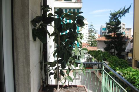 Lejlighed i Sanremo, Imperia, Sanremo - € 270.000 | Ref: V1142 - foto 13