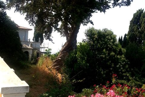 Villa i Bordighera, Imperia, Bordighera - € 3.300.000 | Ref: V1325 - foto 15