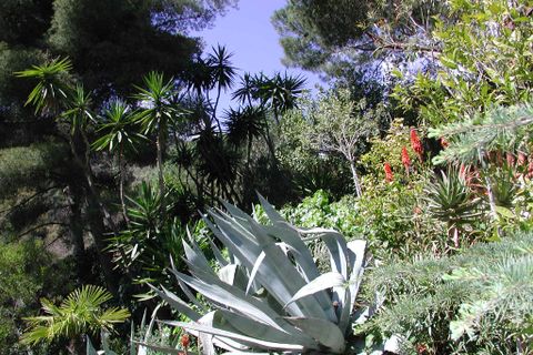 Lejlighed i Ventimiglia, Imperia, Ventimiglia - € 475.000 | Ref: V1468 - foto 12