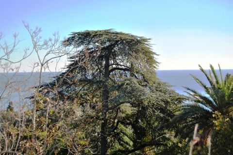 Villa a Alassio, Savona, Alassio - € 5.000.000 | Ref: V1993 - foto 4