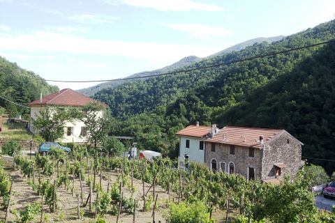 Villa i Badalucco, Imperia, Badalucco - € 230.000 | Ref: V2265 - foto 1