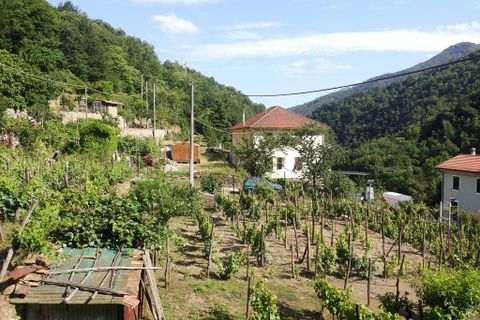 Villa i Badalucco, Imperia, Badalucco - € 230.000 | Ref: V2265 - foto 8