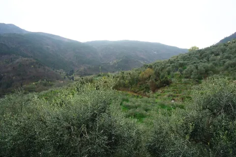Villa a Ceriana, Imperia, Ceriana - € 150.000 | Ref: V2561 - foto 4
