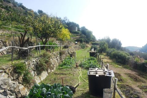 Villa a Castellaro, Imperia, Castellaro - € 550.000 | Ref: V2647 - foto 11