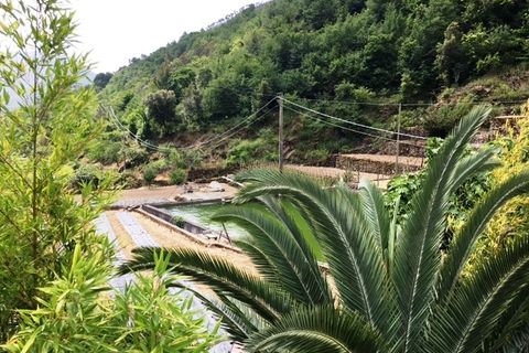 Villa a Taggia, Imperia, Taggia - € 190.000 | Ref: V2726 - foto 4