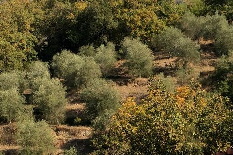 Villa i Perinaldo, Imperia, Perinaldo - € 2.000.000 | Ref: V944A - foto 4
