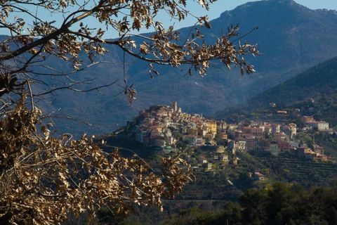 Villa i Perinaldo, Imperia, Perinaldo - € 2.000.000 | Ref: V944A - foto 8