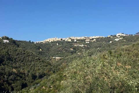 Villa i Perinaldo, Imperia, Perinaldo - € 2.000.000 | Ref: V944A - foto 9