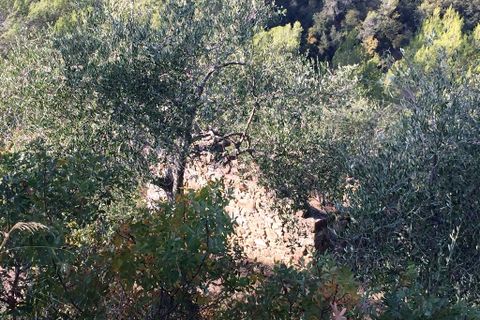 Villa i Perinaldo, Imperia, Perinaldo - € 2.000.000 | Ref: V944A - foto 12