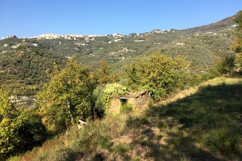 Villa i Perinaldo, Imperia, Perinaldo - € 2.000.000 | Ref: V944A - foto 13