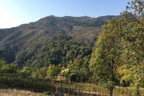 Villa i Perinaldo, Imperia, Perinaldo - € 2.000.000 | Ref: V944A - foto 15