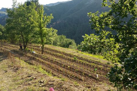 Villa i Perinaldo, Imperia, Perinaldo - € 2.000.000 | Ref: V944A - foto 16