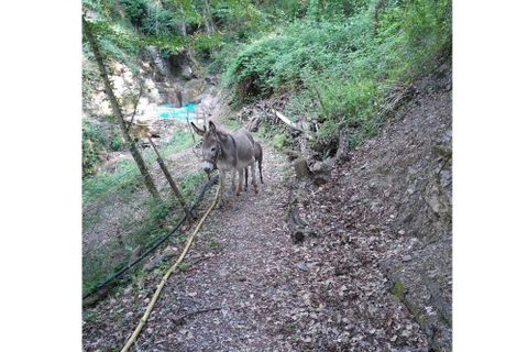 Villa i Perinaldo, Imperia, Perinaldo - € 2.000.000 | Ref: V944A - foto 21