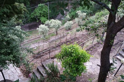 Villa i Perinaldo, Imperia, Perinaldo - € 2.000.000 | Ref: V944A - foto 31
