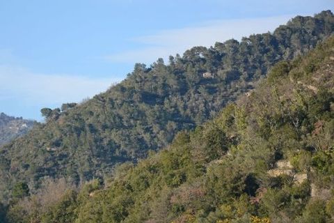 Lejlighed i Dolceacqua, Imperia, Dolceacqua - € 145.000 | Ref: V2821 - foto 3