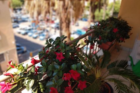 Lejlighed i Ventimiglia, Imperia, Ventimiglia - € 490.000 | Ref: V3266 - foto 5