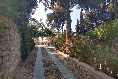 Villa i Ospedaletti, Imperia, Ospedaletti - € 2.500.000 | Ref: V3271 - foto 19