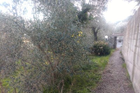 Villa a Apricale, Imperia, Apricale - € 179.000 | Ref: V3371 - foto 2