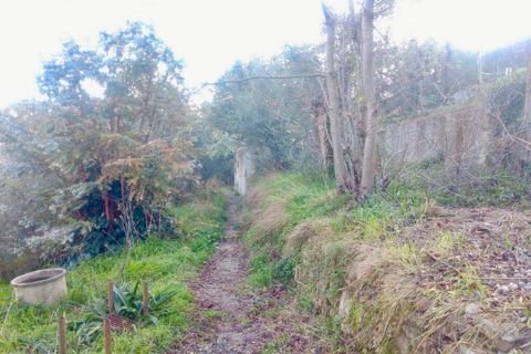 Villa a Apricale, Imperia, Apricale - € 179.000 | Ref: V3371 - foto 6