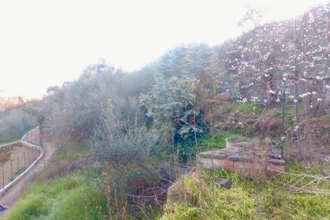 Villa a Apricale, Imperia, Apricale - € 179.000 | Ref: V3371 - foto 8