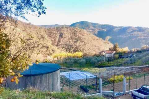 Villa a Apricale, Imperia, Apricale - € 179.000 | Ref: V3371 - foto 15
