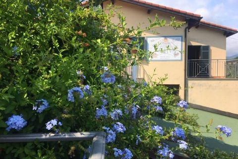 Villa i Bordighera, Imperia, Bordighera - € 745.000 | Ref: V3396 - foto 16