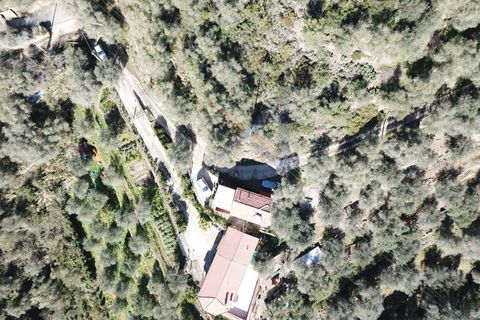 Leilighet i Dolceacqua, Imperia, Dolceacqua - € 185 000 | Ref: 7277 - foto 3