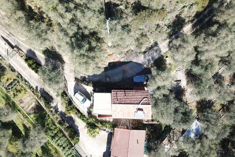 Leilighet i Dolceacqua, Imperia, Dolceacqua - € 185 000 | Ref: 7277 - foto 4