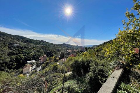 Villa a Vallebona, Imperia, Vallebona - € 450.000 | Ref: 7378 - foto 4