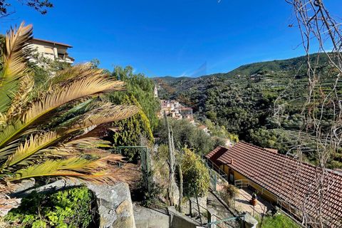 Villa a Vallebona, Imperia, Vallebona - € 450.000 | Ref: 7378 - foto 16