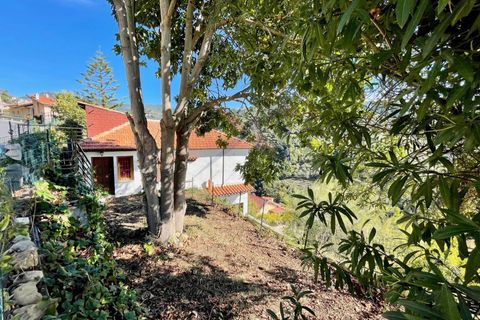 Villa a Vallebona, Imperia, Vallebona - € 450.000 | Ref: 7378 - foto 25