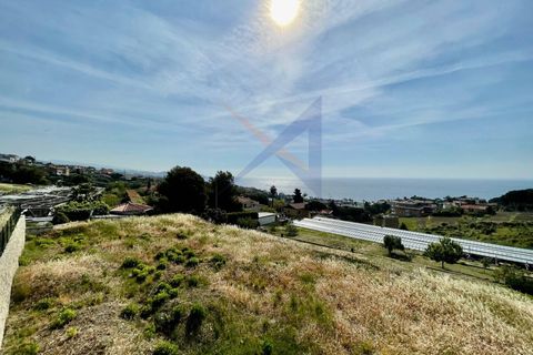 Villa i Sanremo, Imperia, Sanremo - € 3.500.000 | Ref: 7287 - foto 2