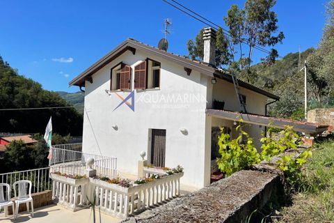 Villa a Dolceacqua, Imperia, Dolceacqua - € 320.000 | Ref: 7517 - foto 17