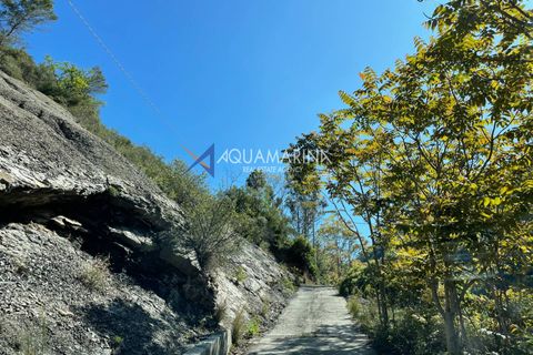 Villa a Dolceacqua, Imperia, Dolceacqua - € 320.000 | Ref: 7517 - foto 22