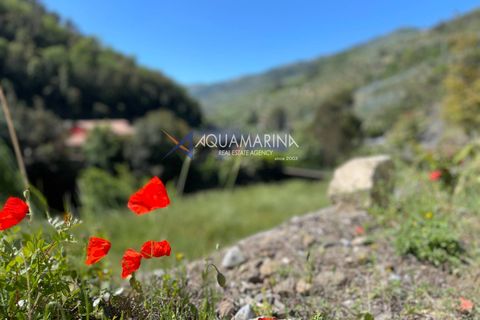 Villa a Dolceacqua, Imperia, Dolceacqua - € 320.000 | Ref: 7517 - foto 24