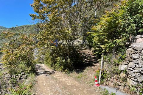 Villa a Dolceacqua, Imperia, Dolceacqua - € 320.000 | Ref: 7517 - foto 25